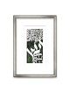 David Fisher Laser Cut Paper Tree of Life Wall Hanging - Choice of Col
